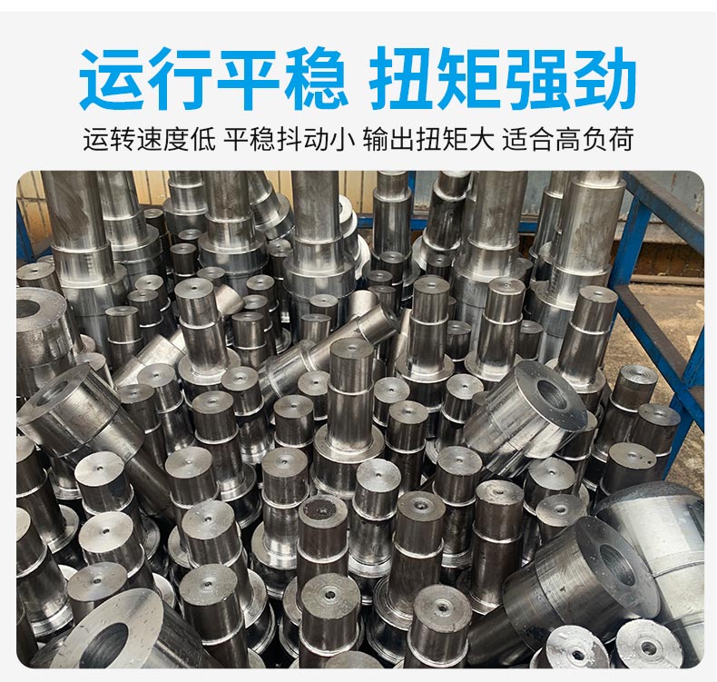 江蘇泰隆減速機(jī)(集團(tuán))股份有限公司 江蘇泰隆減速機(jī)(集團(tuán))股份有限公司